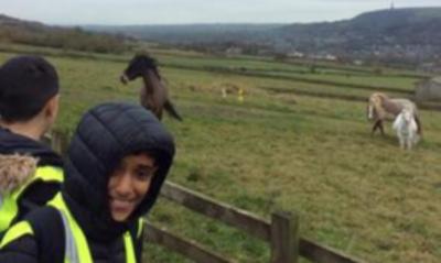 Bleakholt Animal Sanctuary